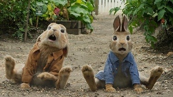 پیتر خرگوشه Peter Rabbit 2