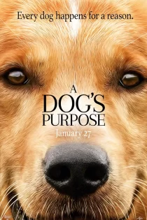دانلود فیلم A Dog’s Purpose 2017 هدف سگ