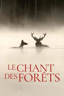 دانلود مستند Whispers in the Woods 2025 نجواهایی در جنگل
