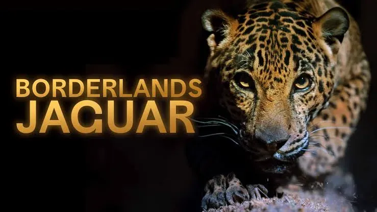 Borderlands Jaguar 2026