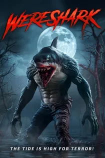 Wereshark 2026
