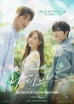 دانلود سریال Dive into You 2026 در تو غرق می‌شوم