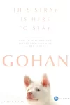 دانلود فیلم Gohan 2026 خانه‌ای برای گوهان