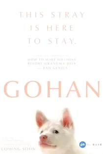 دانلود فیلم Gohan 2026 خانه‌ای برای گوهان