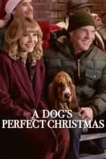 دانلود فیلم A Dog’s Perfect Christmas 2026 کریسمس بی‌نقص یک سگ