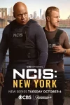 دانلود سریال NCIS: New York 2026 ان‌سی‌آی‌اس: نیویورک